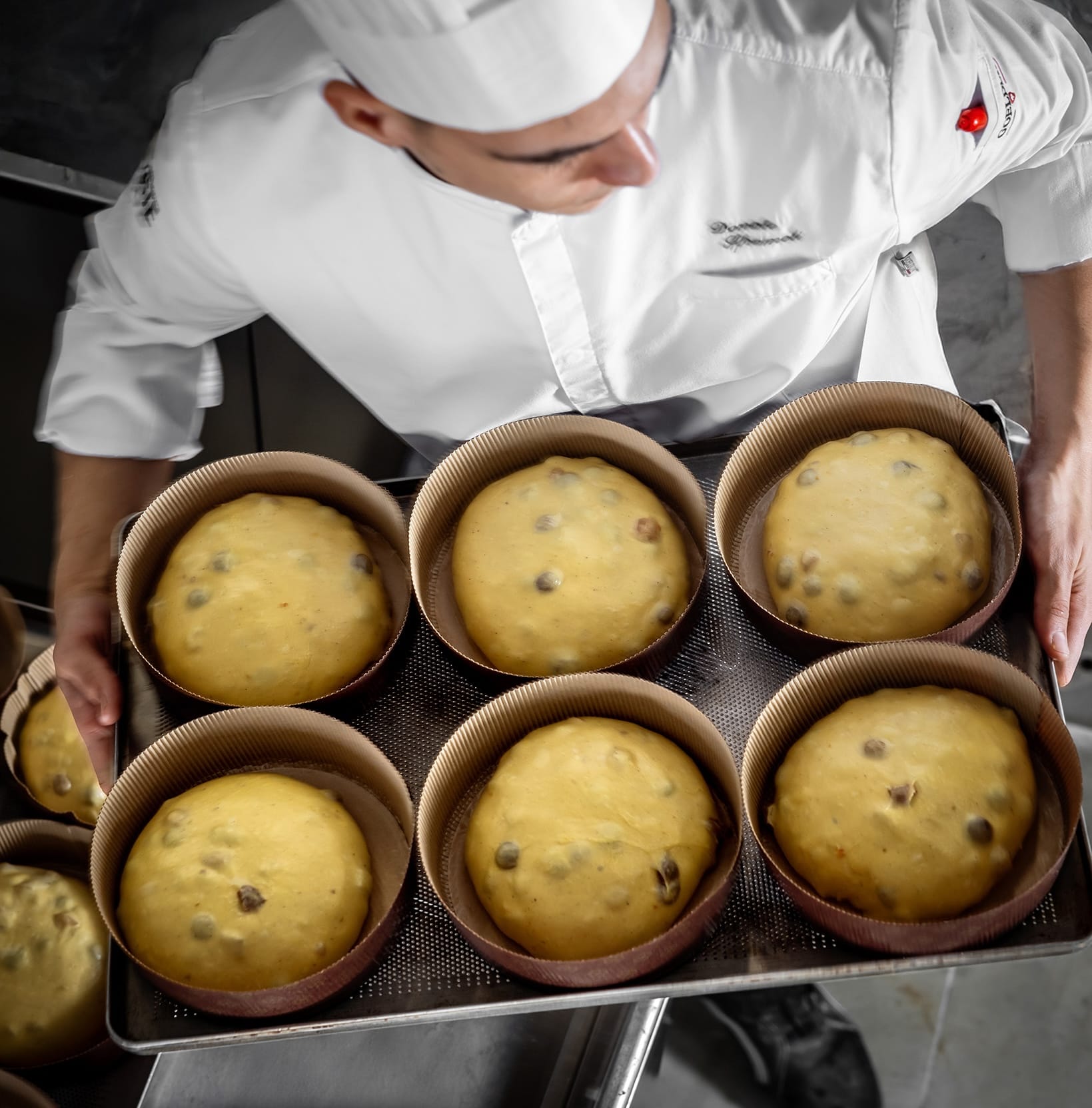 Panettone Artigianale Massimiliano Prete - Panettone Albicocca Cioccolato 1